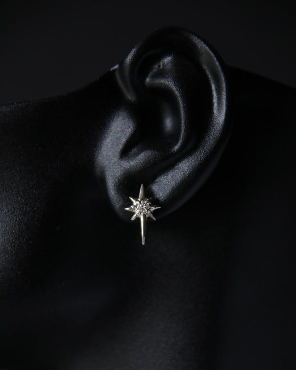 Navi Moissanite North Star Stud Earrings