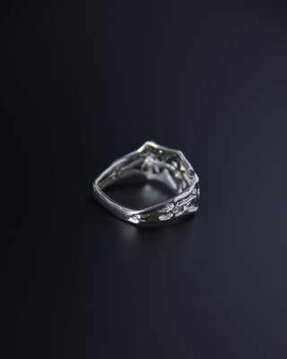 Silver ring with intricate design on a black background